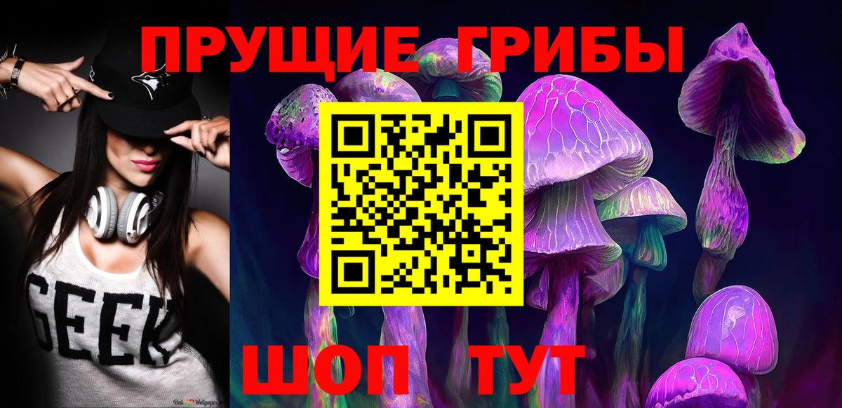 Псилоцибиновые грибы Cubensis Долгопрудный