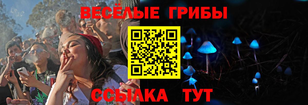Долгопрудный  Псилоцибиновые грибы прущие грибы  Галлюциногенные грибы ЛСД  Вход с VPN 
